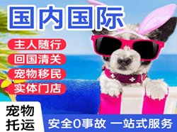 普洱思茅机场货运国际宠物托运 【国